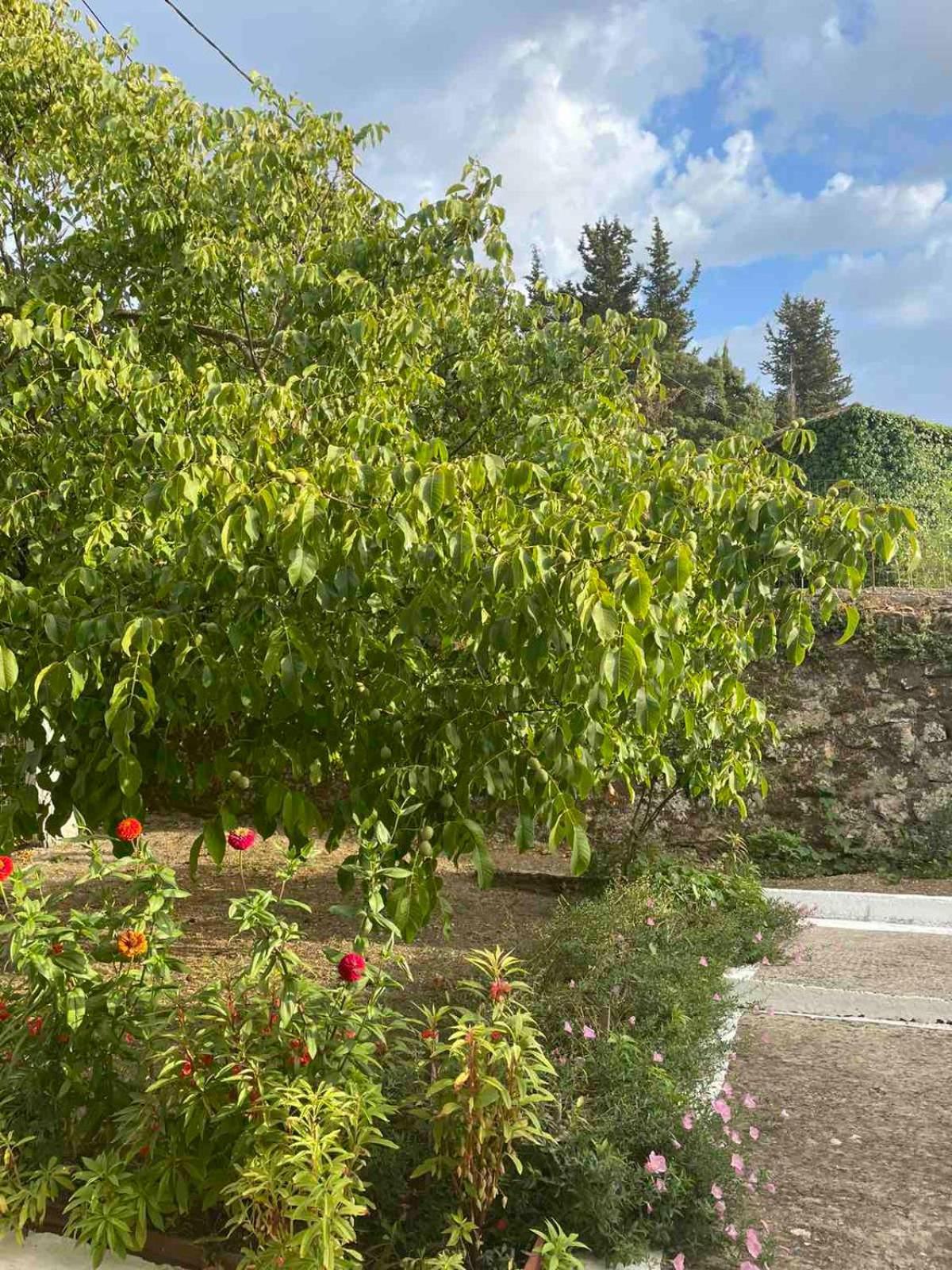 Anesis Vila Asprogerakata Exterior foto